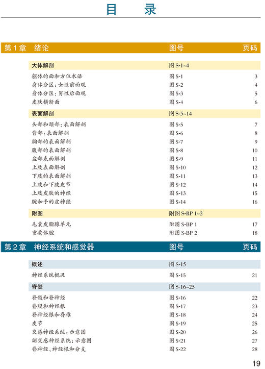 奈特人体解剖学彩色图谱系统解剖学第8版 张卫光七版升级基础临床医学奈特解刨学图谱奈特图谱解剖学书人体人卫版基础教材法医解剖 商品图3