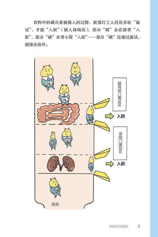 漫画罕见病 先天性肾上腺皮质增生 营养不良 软骨发育不全 脊髓性肌萎缩症 遗传性大疱视网膜母细胞瘤等人民卫生出版9787117356022 商品图4