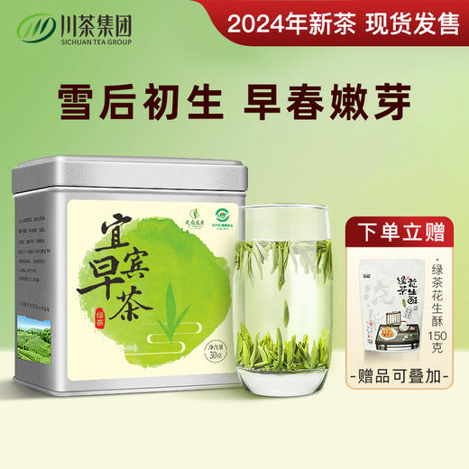 茶叶 绿茶 2024新茶 早春嫩芽 宜宾早茶 天府龙芽 川茶集团 茶饮 50g 商品图0