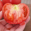 【普罗旺斯西红柿】 绿色种植 皮薄多汁 9分甜1分酸 适合生吃的沙瓤水果西红柿 商品缩略图1