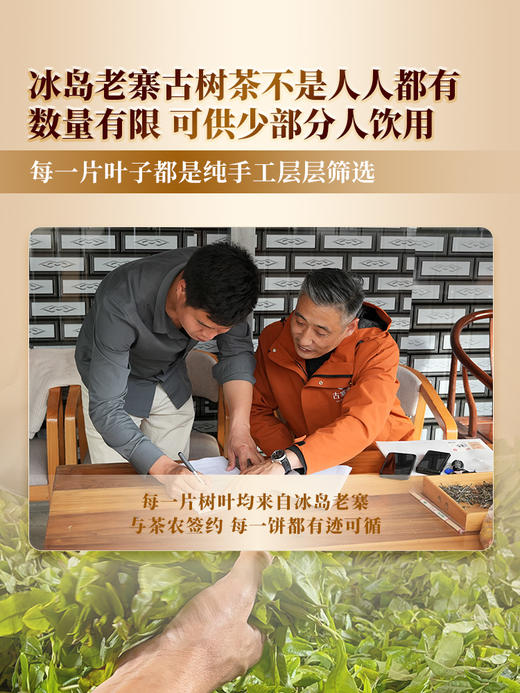 【冰岛老寨】2024年春茶普洱茶界的霸主 茶人梦寐以求的冰岛老寨 选自十号茶农李新和家核心片区古树  普洱茶生茶357g/饼 拍5发6 商品图8