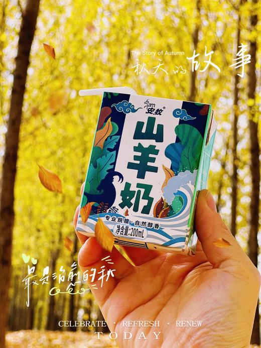 【奶中贵族.安牧山羊奶】保留其丰富的营养成份，甘甜奶香，入口香浓丝滑无膻味-MDHC 商品图5