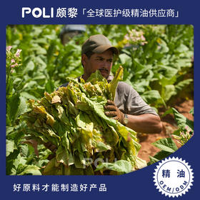 英国进口烟草净油原精 精油Absolute原料 颇黎天然净油原料批发