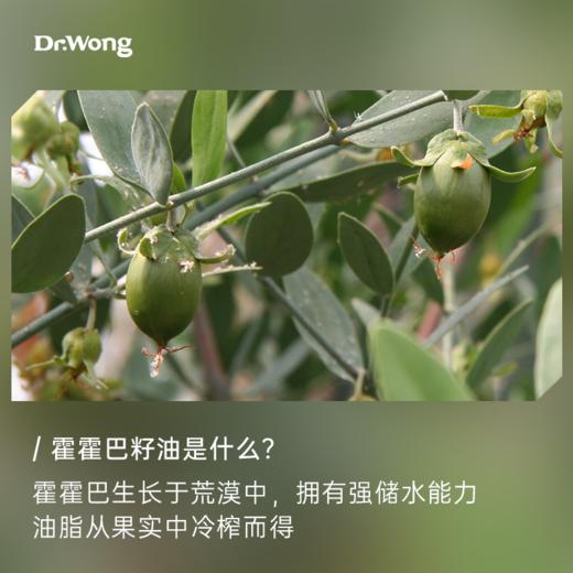 霍霍巴籽油 基础油 商品图1