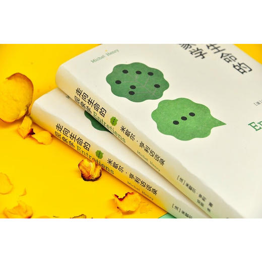 走向生命的现象学 米歇尔·亨利 著 哲学 商品图4