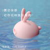 kistoy吻玩兔子跳蛋 成人用品 商品缩略图8