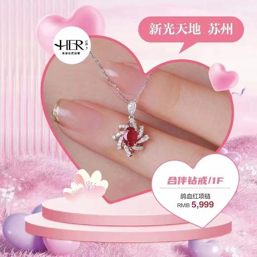 合伴钻戒 鸽血红项链 商品图0