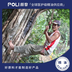 危地马拉进口苏合香脂精油单方精油原料批发颇黎进口天然精油原料