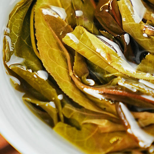 【三合社】2023年头春300年古树茶易武茶区 原料数量有限 每个ID限购5份 357g/饼，5饼/提 商品图3