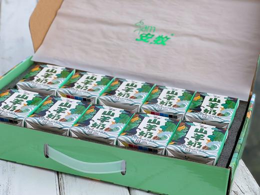 【奶中贵族.安牧山羊奶】保留其丰富的营养成份，甘甜奶香，入口香浓丝滑无膻味-MDHC 商品图6