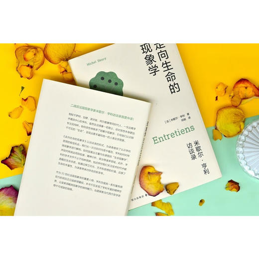 走向生命的现象学 米歇尔·亨利 著 哲学 商品图3