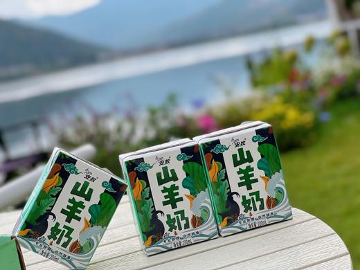 【奶中贵族.安牧山羊奶】保留其丰富的营养成份，甘甜奶香，入口香浓丝滑无膻味-MDHC 商品图3