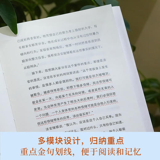 情绪疗愈 林文采 著 心理学 商品图2