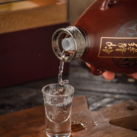 仰韶 彩陶坊 藏25  白酒整箱六瓶 42度酒体+70度酒头 500ml+50ml 商品图2