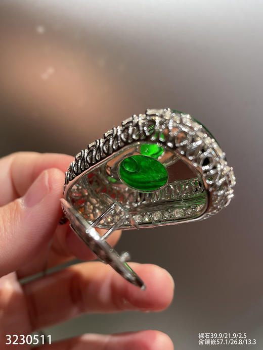 老坑玻璃种帝王绿如意吊坠【3230511】具体价格微信咨询 商品图7