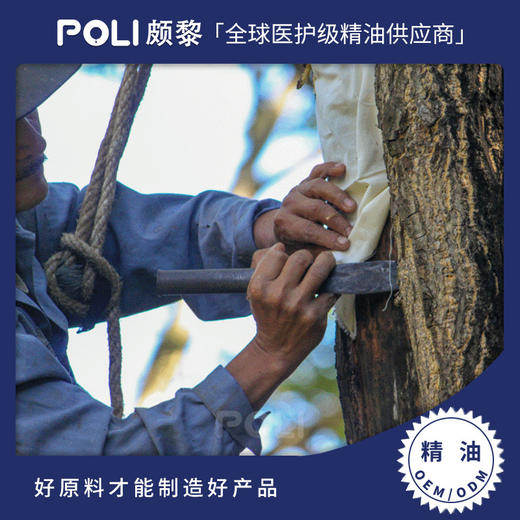 危地马拉秘鲁香脂精油 POLI/颇黎单方精油批发 精油原料 商品图0