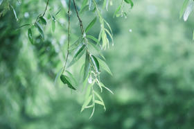 雨水养生，关键做好这件事，给健康加分！