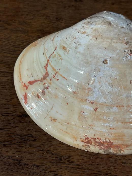 贝壳彩绘仕女图盖盒，顺丰包邮 商品图9