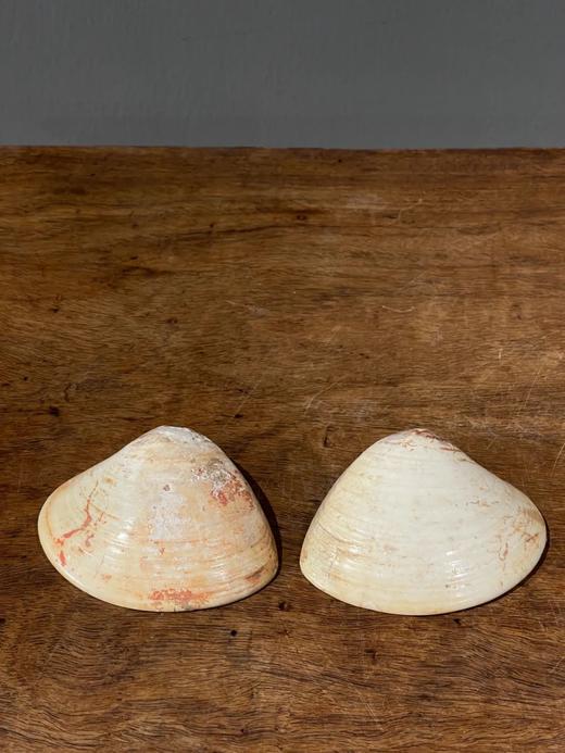 贝壳彩绘仕女图盖盒，顺丰包邮 商品图4