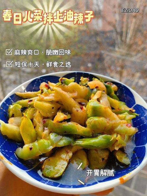 春日儿菜  春日儿菜拌上油辣子，百搭下饭 基地直邮 商品图0