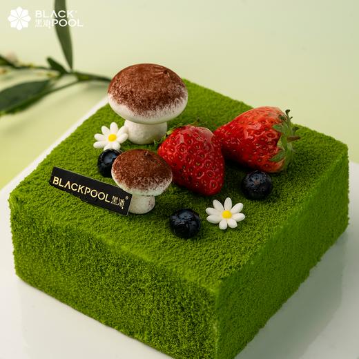【小森林·山茶花草莓软忌廉】踏春而来，在蛋糕里开出小白花 商品图2