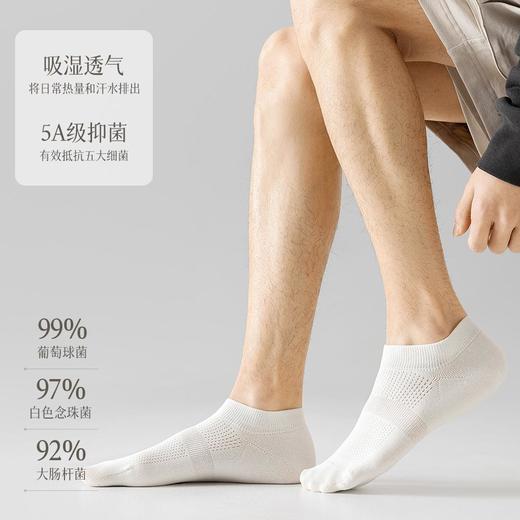【现货·无骨袜防臭吸汗全棉船袜】袜子男夏季薄款纯棉无骨袜防臭吸汗全棉船袜短筒黑白男士网眼袜子 商品图2