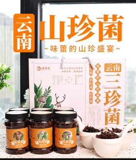 云南【三珍菌】松茸/鸡枞/牛肝菌 来自云南雨季山野的馈赠 云南人的舌尖密码