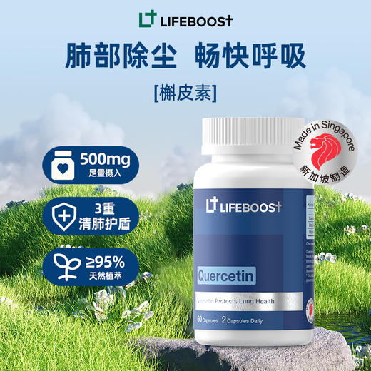 槲皮素胶囊 肺部健康 支持免疫力 商品图0