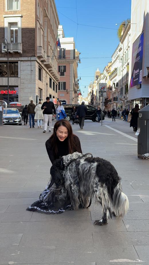 “漫步华尔兹”单半裙 后拉链S1件 M29件 L19件 XL2件（不退不换） 商品图3