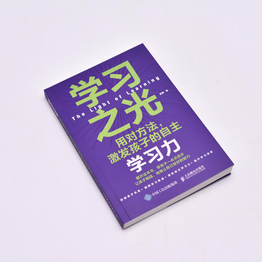 学习之光：用对方法，激发孩子的自主学习力 提升学习自驱力书籍 学习方法书籍 求知欲 商品图1