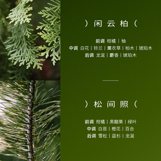 【首品专享】浴见-凝润修护身体油霜 （松间照、闲云柏）身体乳身体护理 商品图3