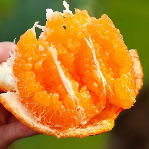 橘粹 · 两弹橙粑粑柑当季橘子水果现摘现发礼盒装包邮 商品图8