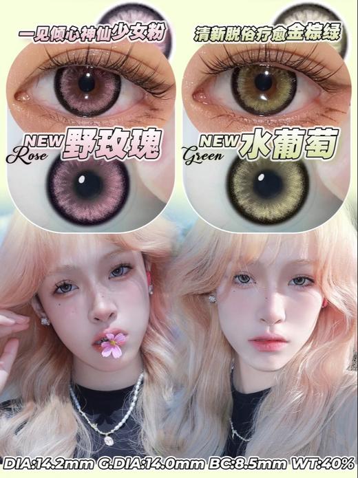 Pisircon 野玫瑰/水葡萄 2片/副（月抛型） 商品图0