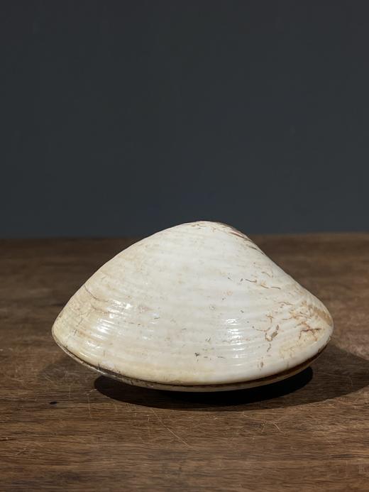 贝壳彩绘仕女图盖盒，顺丰包邮 商品图3