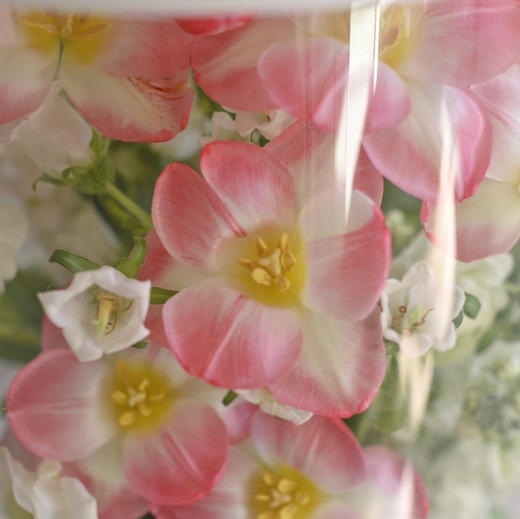 《词不达意，可寄春风》粉色郁金香白色紫罗兰透视花盒 商品图3