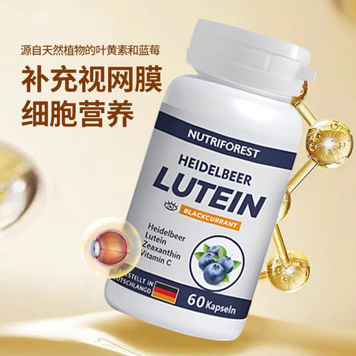 NUTRIFOREST 德国进口蓝莓叶黄素酯(凝胶糖果) 商品图1