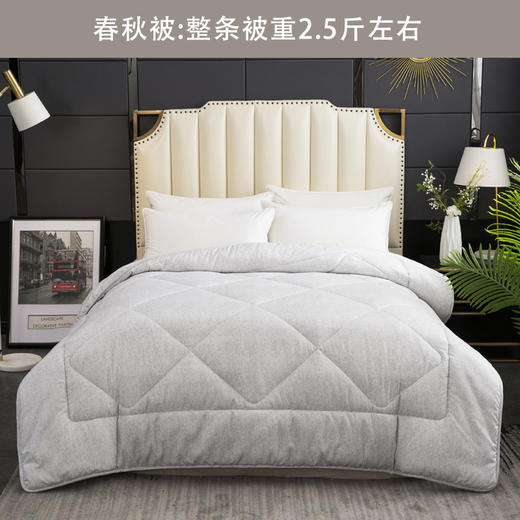 利路米简约风磨毛印花单人床春秋被 蓬松服贴 厚薄适中150*210CM 商品图0