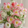 《词不达意，可寄春风》粉色郁金香白色紫罗兰透视花盒 商品缩略图6