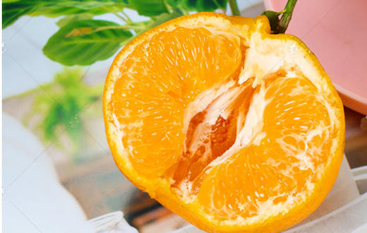 橘粹 · 两弹橙粑粑柑当季橘子水果现摘现发礼盒装包邮 商品图9