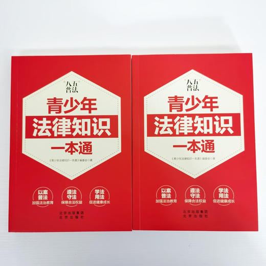 青少年法律知识一本通 《青少年法律知识一本通》编委会 著 法律 商品图3