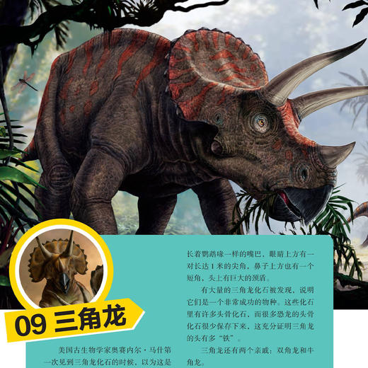 《美国国家地理 恐龙战力榜》 (共2册) 商品图5