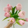 配花-ZY郁金香-王朝粉淡粉色-10枝/扎 商品缩略图0