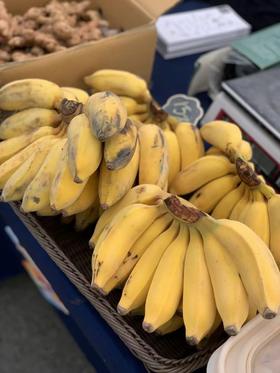 农友直发｜生态芭蕉·云艳农场，下单后排队发出，遇雨延后，请耐心等待！