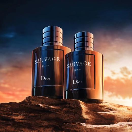 迪奥旷野男士典藏香精100ml 商品图0