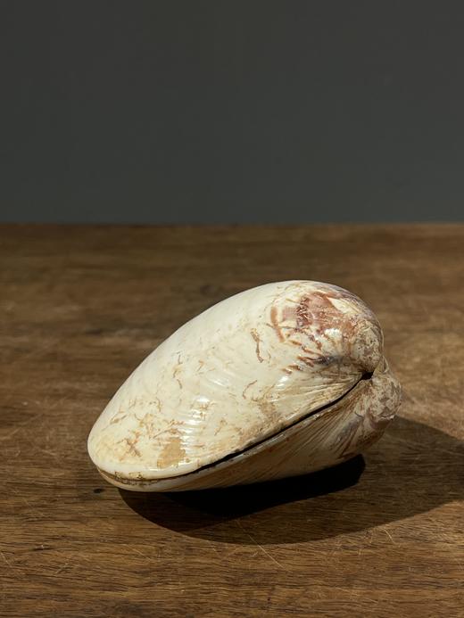 贝壳彩绘仕女图盖盒，顺丰包邮 商品图1