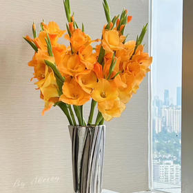 配花-剑兰-橙色-10支