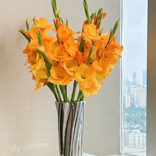 配花-剑兰-橙色-10支 商品图0