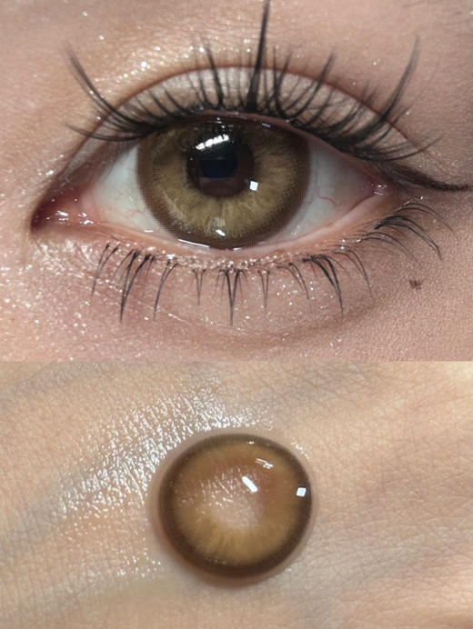 【大直径】PFGIRLCON-金琥珀-14.5mm【半年抛 0-800度 含有525/575】着色13.9mm 商品图1