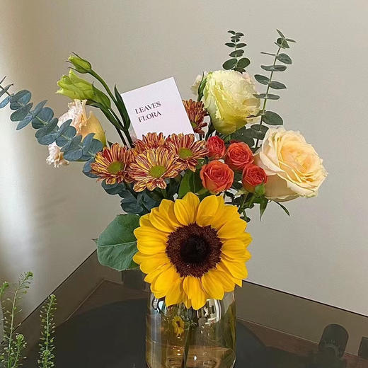 〔温暖阳光〕 商品图0