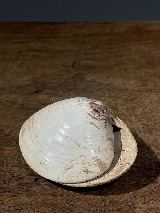 贝壳彩绘仕女图盖盒，顺丰包邮 商品图2